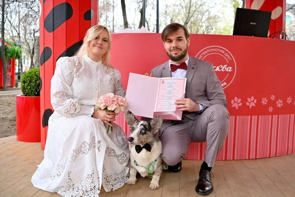 В Москве стартовал свадебный сезон: подано около 40 тысяч заявлений