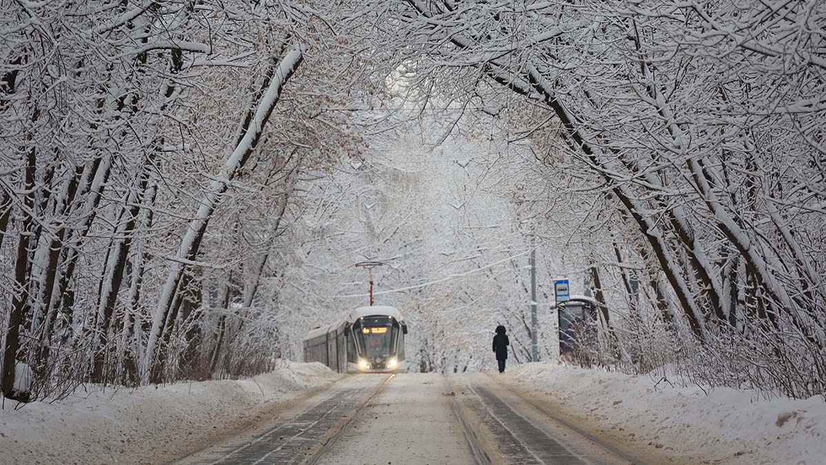 Зимняя прогулка принесет пользу и уму, и телу