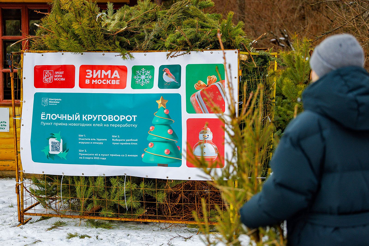 Городская акция по переработке новогодних деревьев начнется 2 января