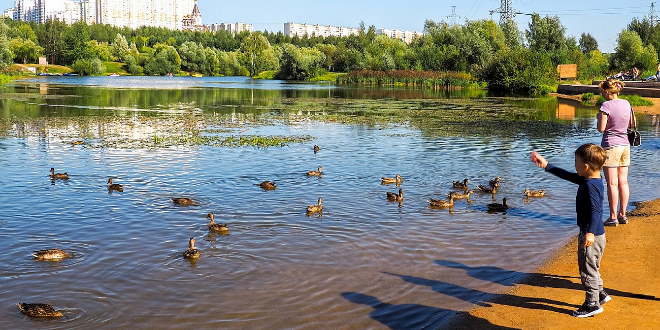 Москвичи проголосуют за лучшие пляжи в городских парках