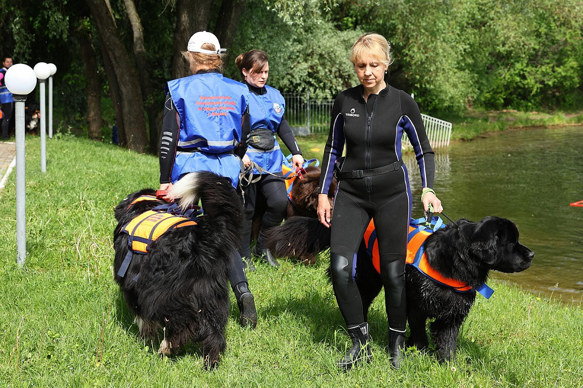 Около трех тысяч волонтеров помогают столичным пожарным и спасателям