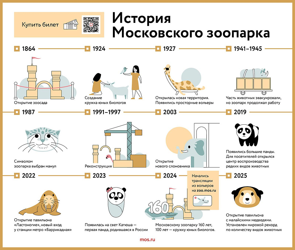 Посетить «Кошачью неделю» Московского зоопарка можно с «Мосбилетом»
