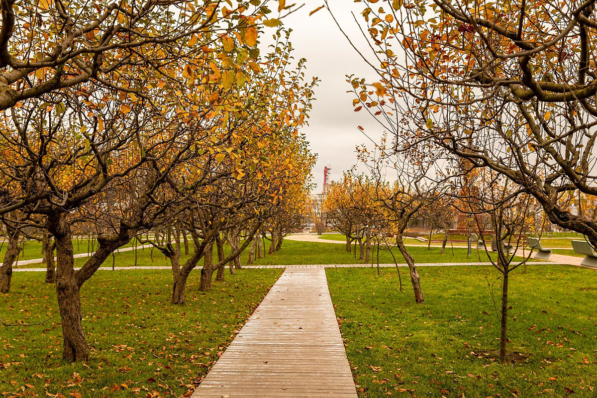Как Мичуринский сад на ВДНХ развивает дело знаменитого селекционера