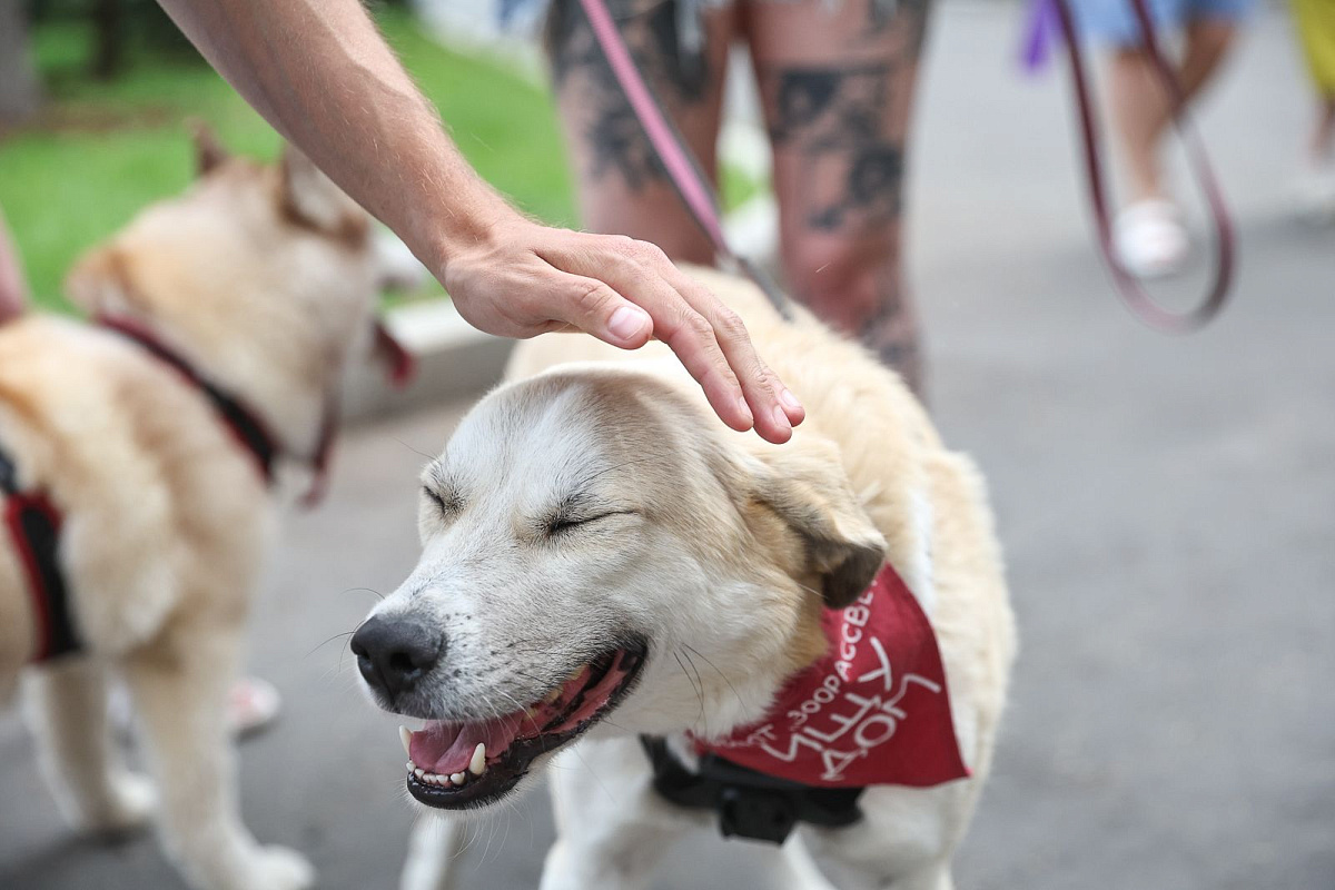 На ВДНХ откроется «Школа ответственного хозяина»