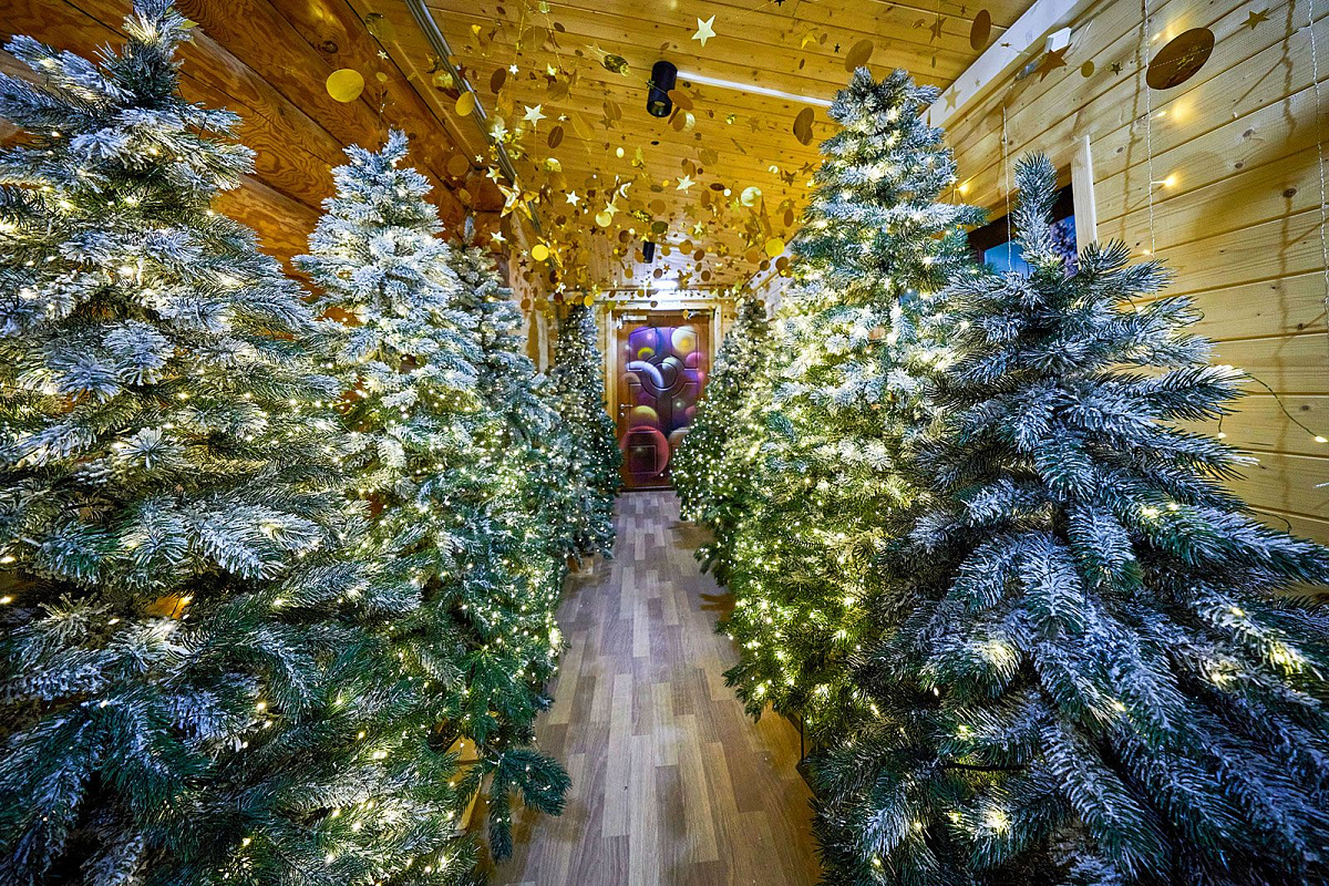 Новогодние программы для детей в «Мосбилете»