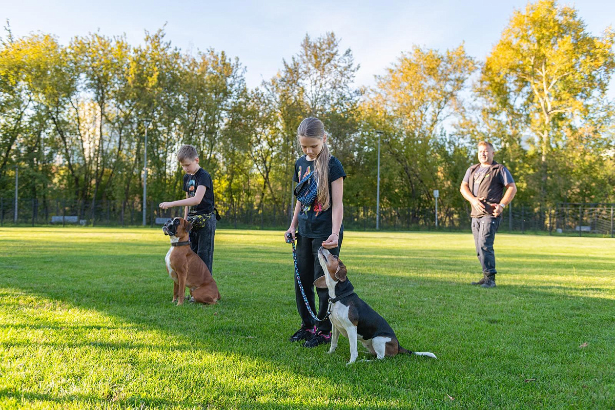 В Москве открывается запись в «Школу кинолога» для юных владельцев собак