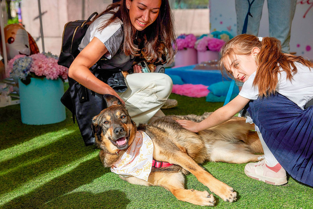 На Тверском бульваре пройдет мероприятие «Моспитомец х Четвероногий друг»