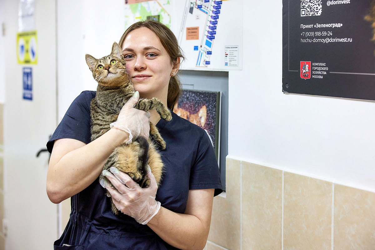 Почему не стоит бояться брать животных из приюта