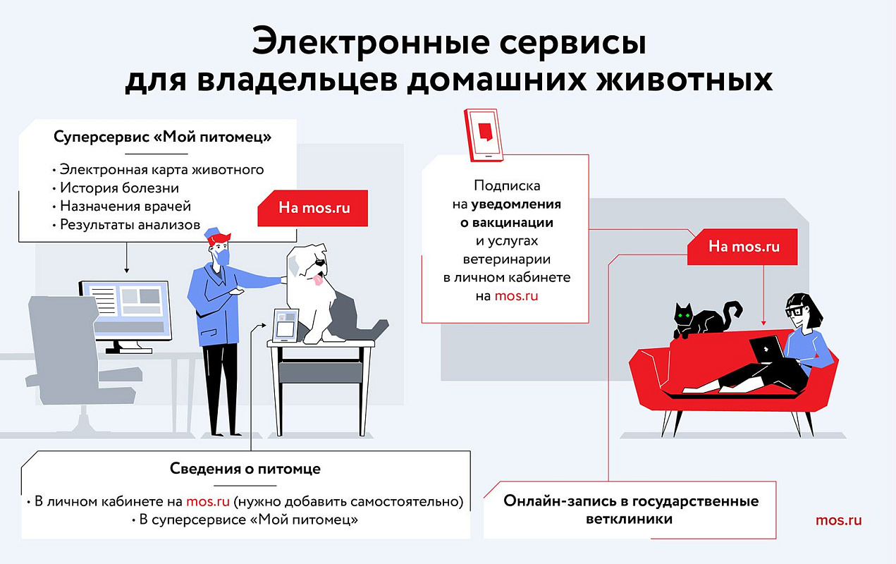 На mos.ru запустили онлайн-консультации ветеринаров для владельцев животных