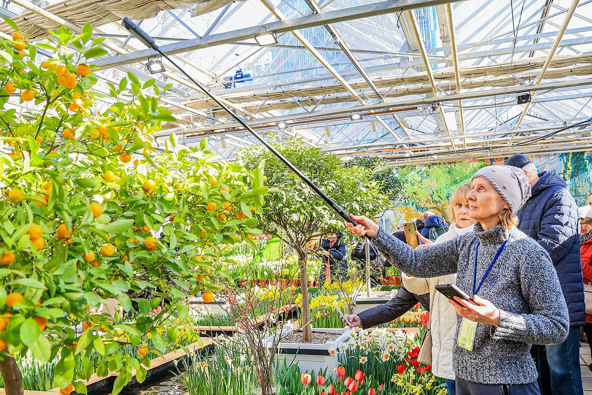 Ко Дню российской науки сервис Russpass разработал три маршрута по Москве