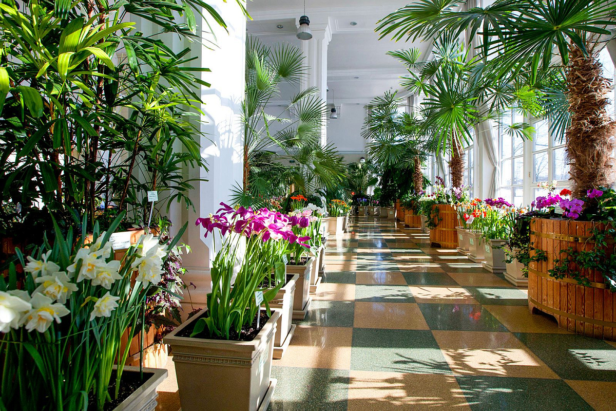 «Мосбилет» открывает весенний сезон в оранжереях музея-заповедника «Царицыно»