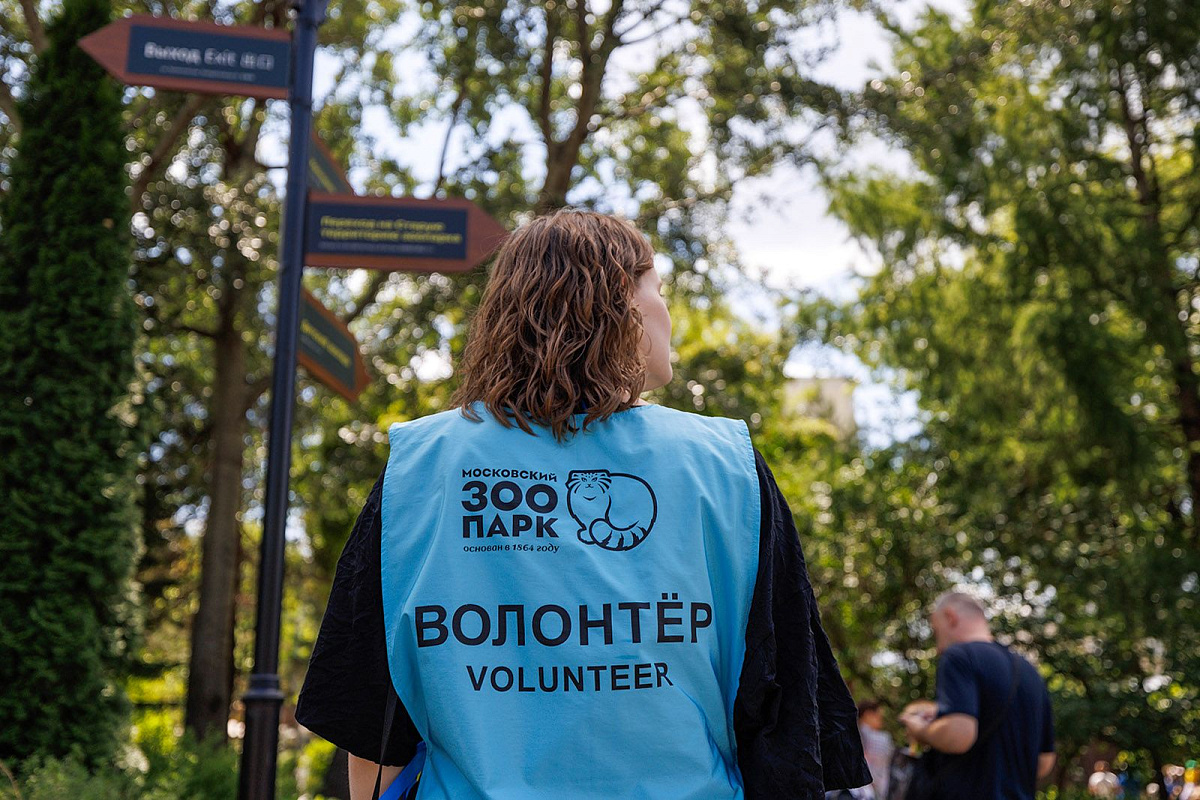 Как волонтеры помогают посетителям Московского зоопарка