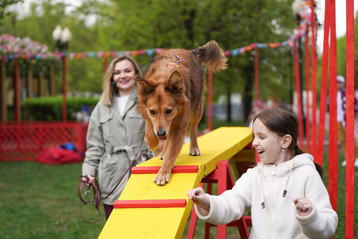 На Тверском бульваре пройдет программа «Моспитомец х Четвероногий друг»
