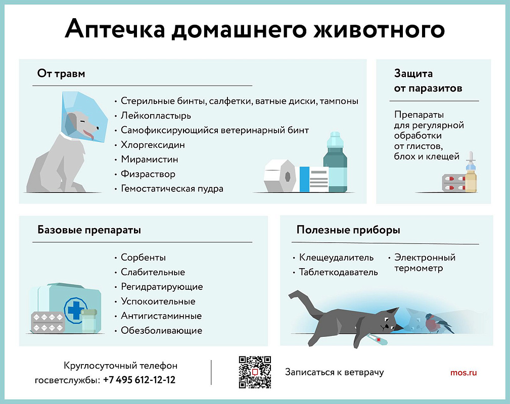 Как подготовиться к поездке и обеспечить безопасность