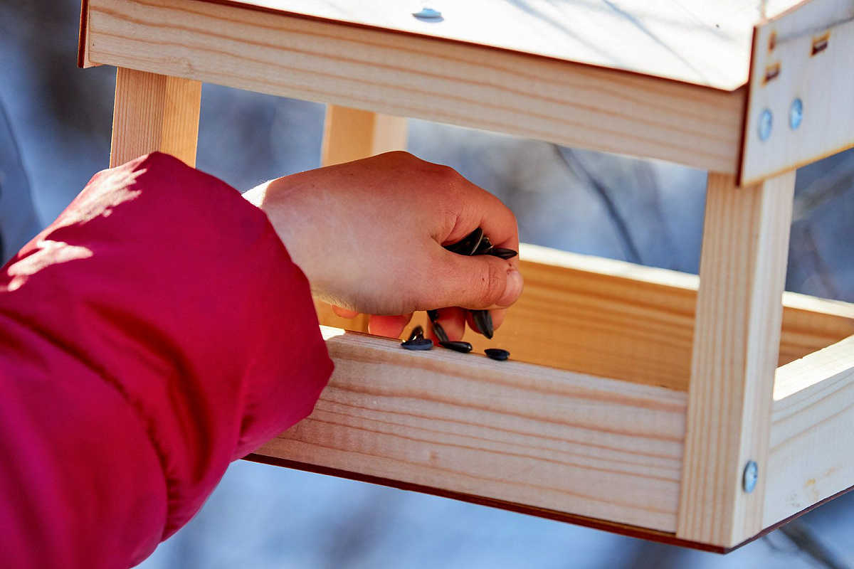 Какие мероприятия подготовили экоцентры на новогодние выходные