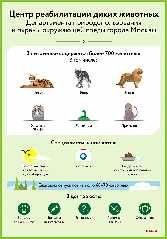 Мэр рассказал, кого и как выхаживают специалисты московского центра реабилитации диких животных