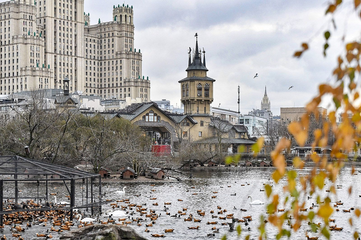 Московский зоопарк меняет режим работы